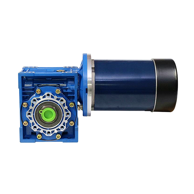 dual shaft low speed worm dc gear motor for mixers
