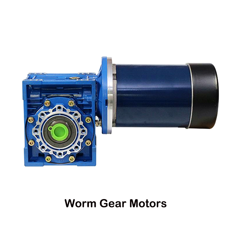 worm gear dc motors.jpg