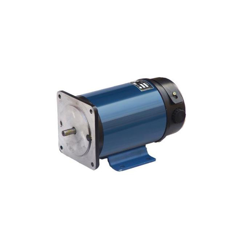 110ZYT 700W Waterproof  24v-220v electric brushed dc motor