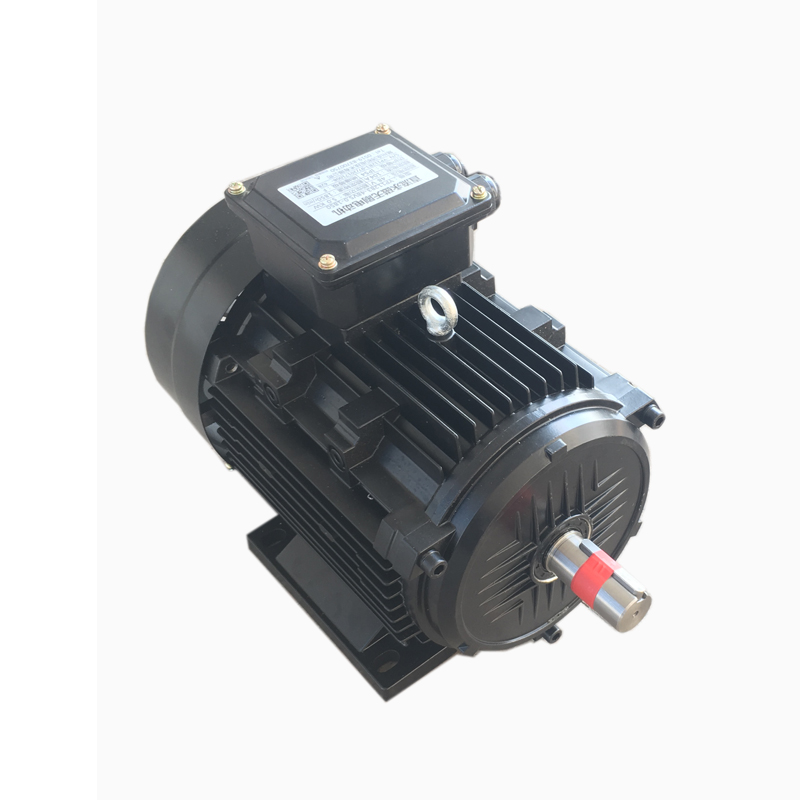 5kw 48v 1800rpm PM BLDC Motor