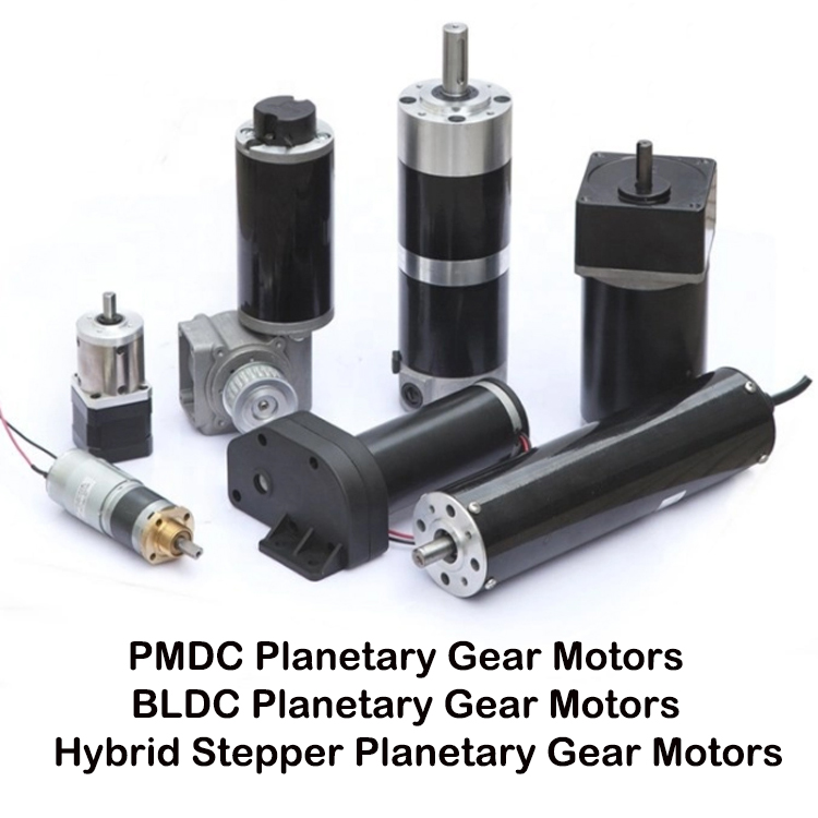 gear dc motor.jpg