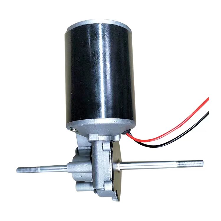 double shaft gear motor.jpg