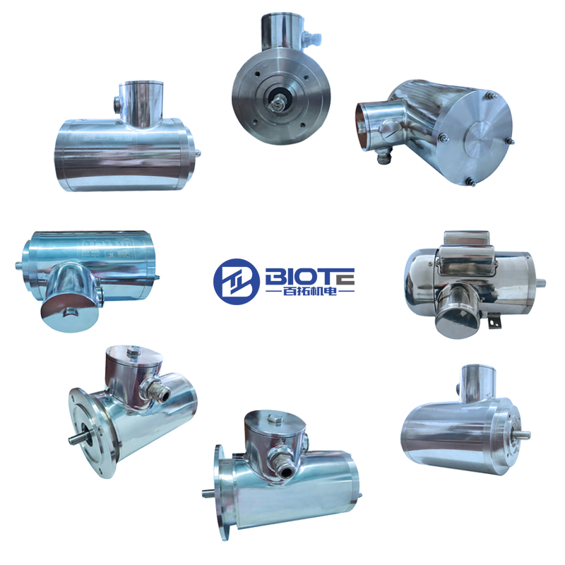 Stainless Steel Motors