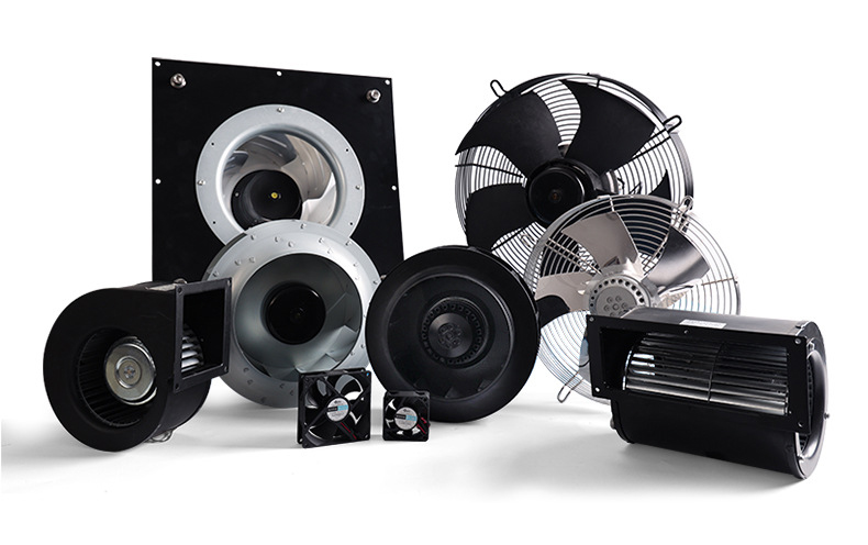 Blog-Custom Motors-Ningbo Biote Mechanical Electrical Co.,Ltd